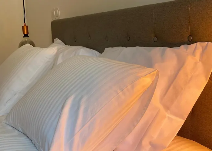 Casa de hóspedes Casa Da Trincheira , Turismo De